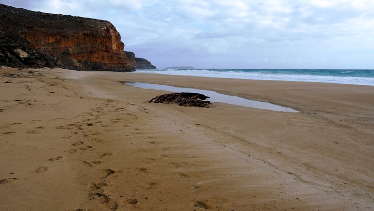 Am Ethel Beach ragen Reste von Schiffswracks aus dem Sand